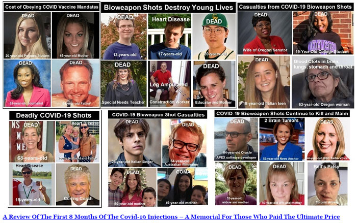 People who have died from the Covid vaccine.