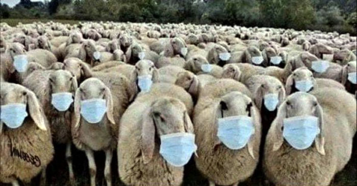 Totalitarianism Disguised as Public Health Protection